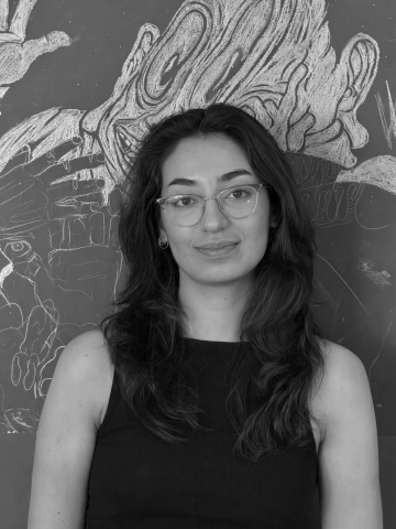 ayşe nur karasülük
