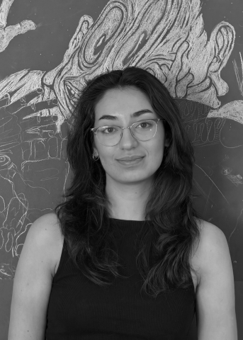 ayşe nur karasülük