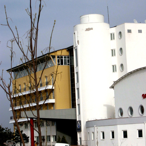 turkish wrestling foundation social facilities