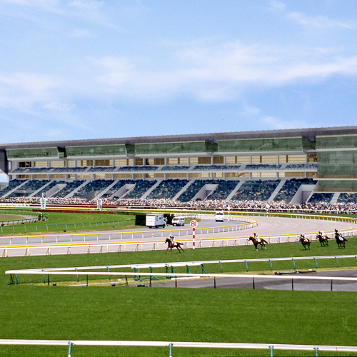 tjk adana hippodrome
